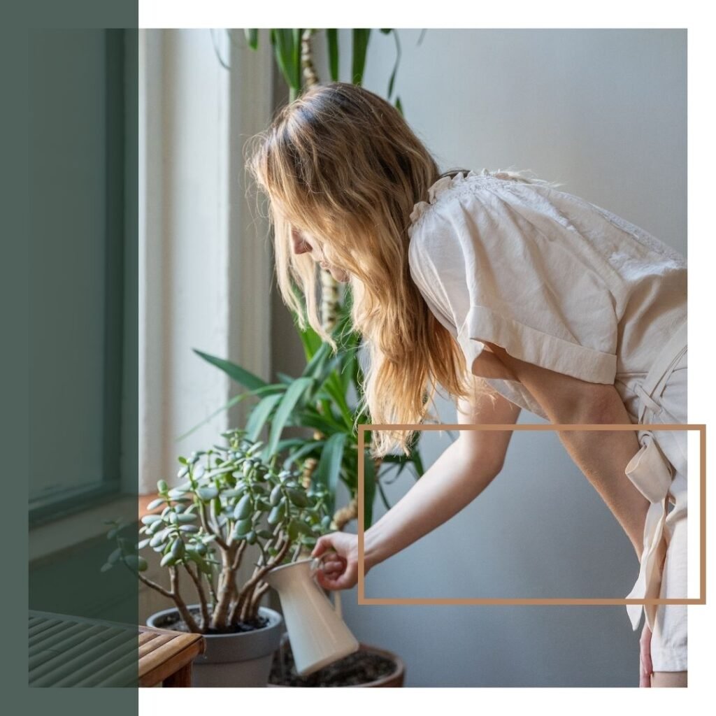 img of a woman watering her plants